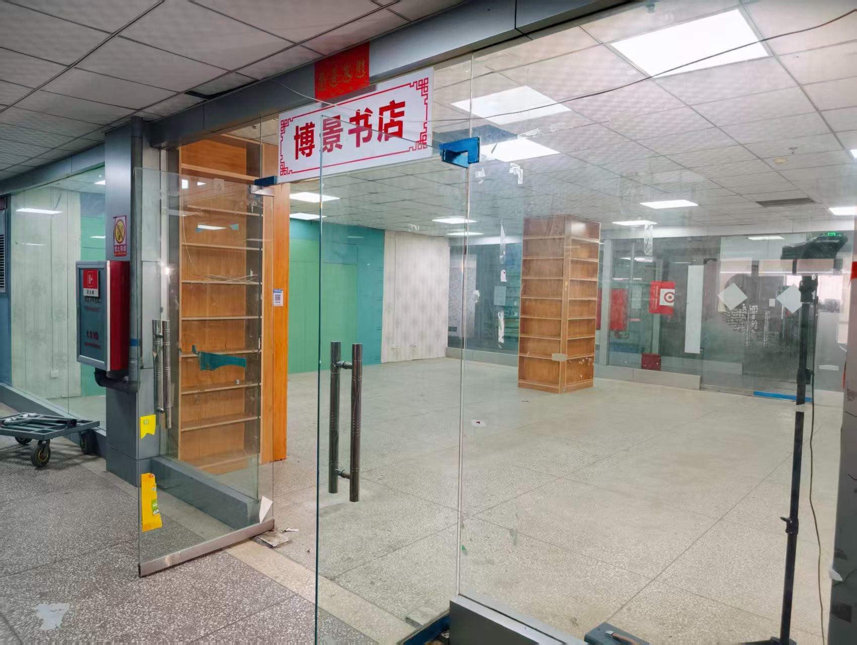 龙泉路AI浪潮已至,优质企业抢先布局
